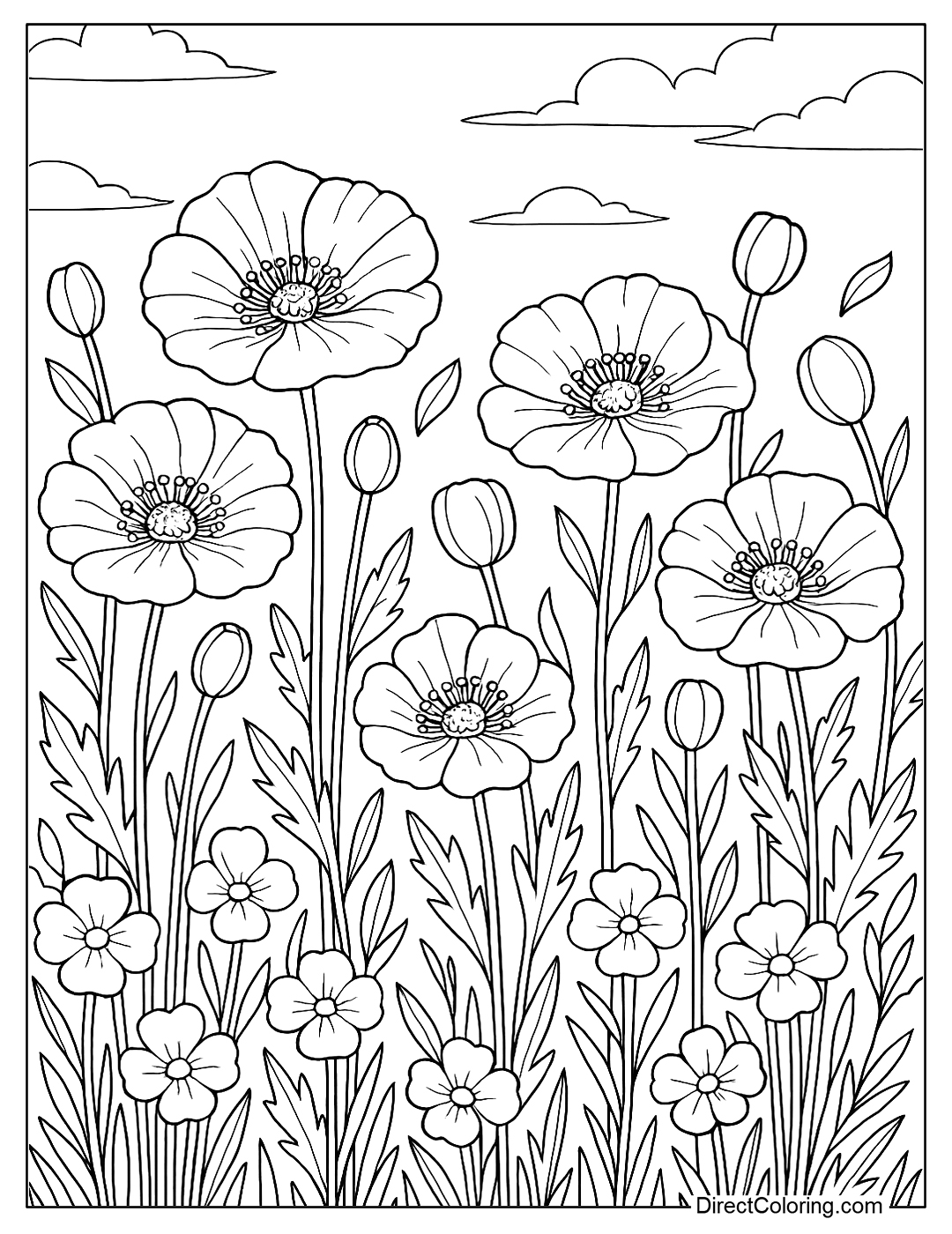 coloring page A field of bright red poppies, a symbol of remembrance for fallen soldiers